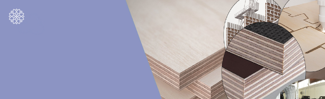 Discover tailored solutions for professional projects